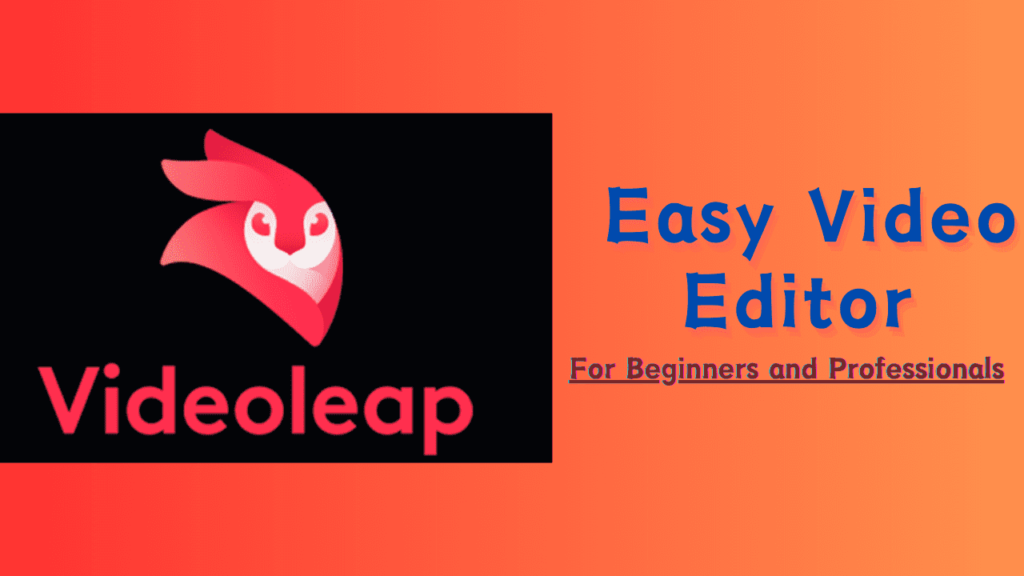 VideoLeap