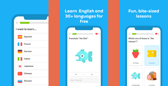 Duolingo MOD APK