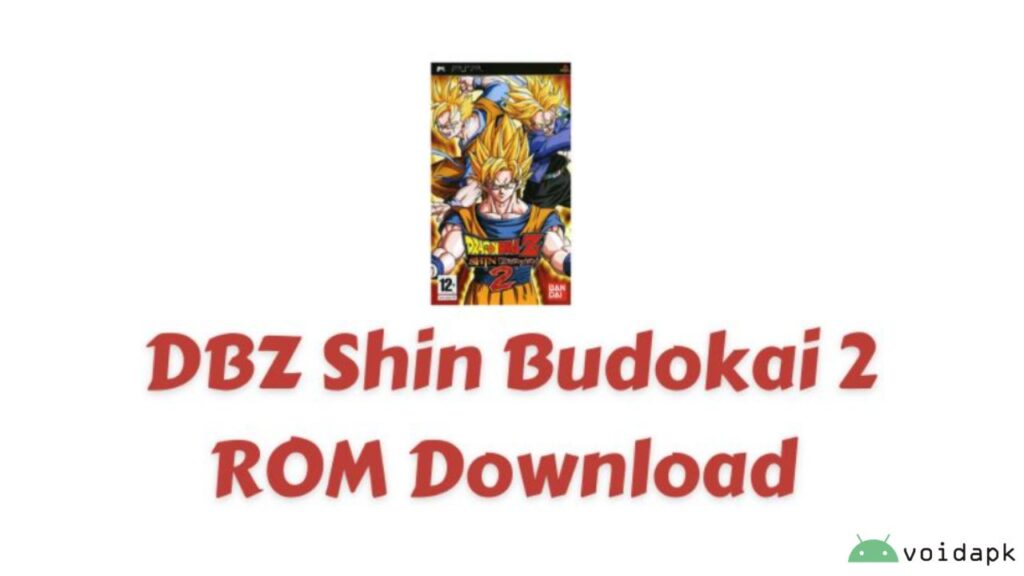 DBZ Shin Budokoi